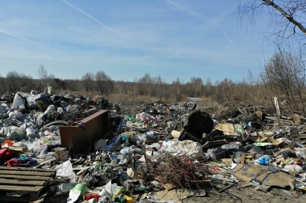 В прошлом году на территории Ярославской области нашли более 1200 свалок В прошлом году на территории Ярославской области нашли более 1200 свалок