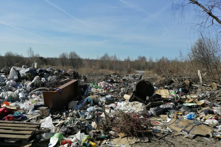 В прошлом году на территории Ярославской области нашли более 1200 свалок