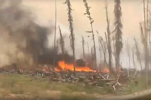 Пожары в Богучанском районе Пожары в Богучанском районе 
