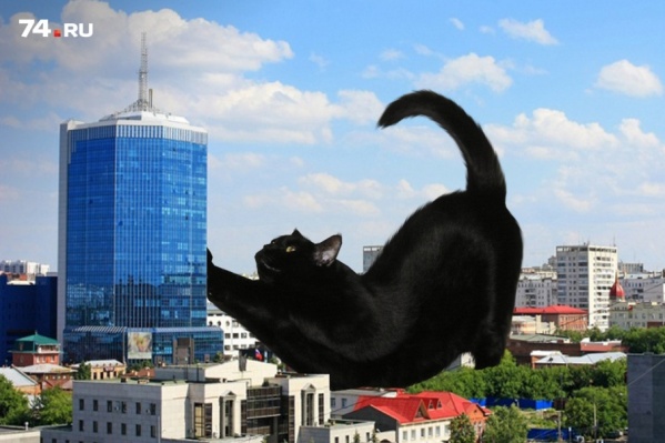 Котов-гигантов художник называет Котзиллами Котов-гигантов художник называет Котзиллами