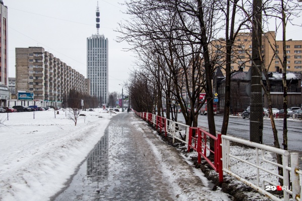 Общественники и дизайнеры переживают, что в городе становится все меньше деревьев Общественники и дизайнеры переживают, что в городе становится все меньше деревьев