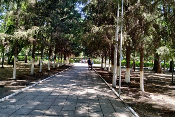 В этом году ЦПКиО в Кургане исполняется 50 лет В этом году ЦПКиО в Кургане исполняется 50 лет