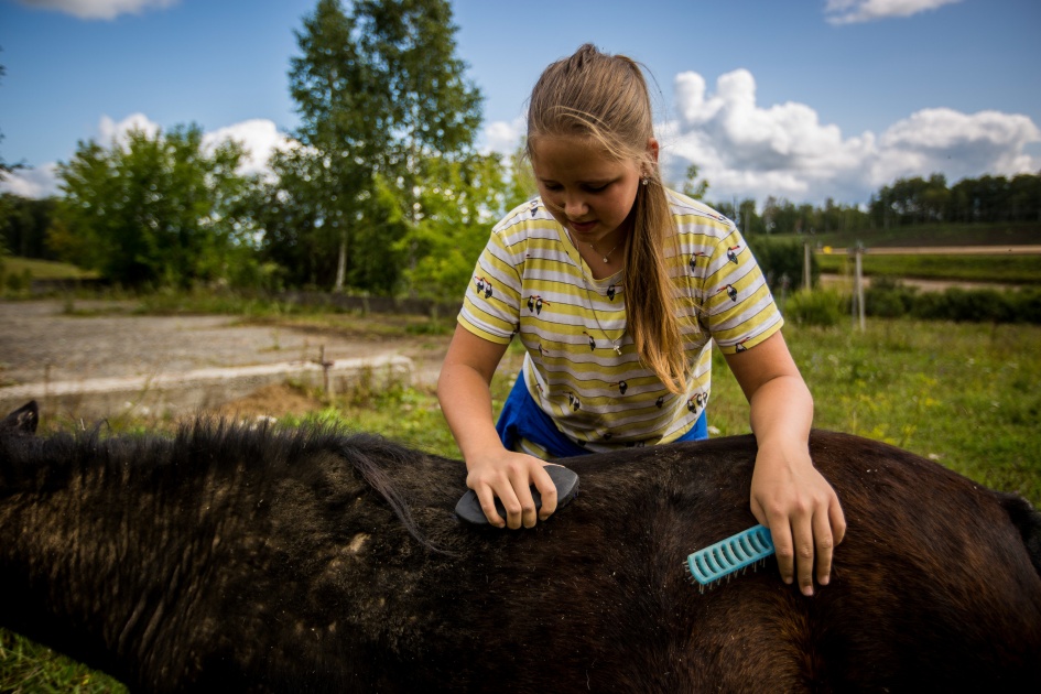 В уходе за лошадками владельцам табуна помогают местные дети