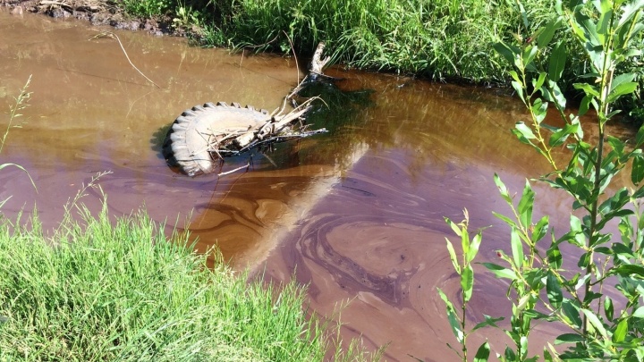 «Текло сплошным пятном»: пермячка пожаловалась на загрязнение реки Ивы нефтепродуктами