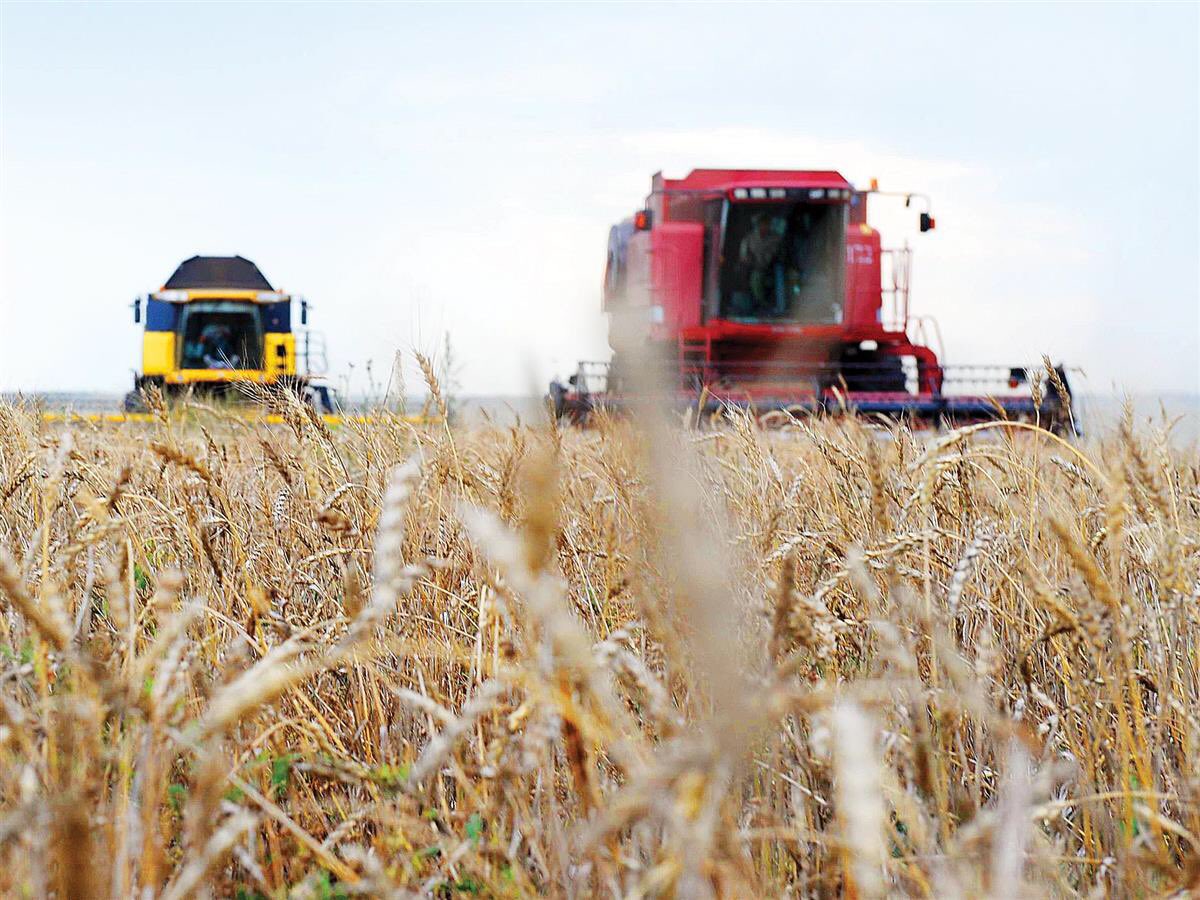 Хорошие вести с полей: в Самарской области собрали более миллиона тонн зерна