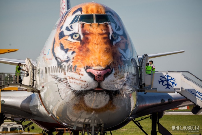 Прилетевший из Сочи Boeing 747-400 в аэропорту Толмачёво днем 5 июня Прилетевший из Сочи Boeing 747-400 в аэропорту Толмачёво днем 5 июня