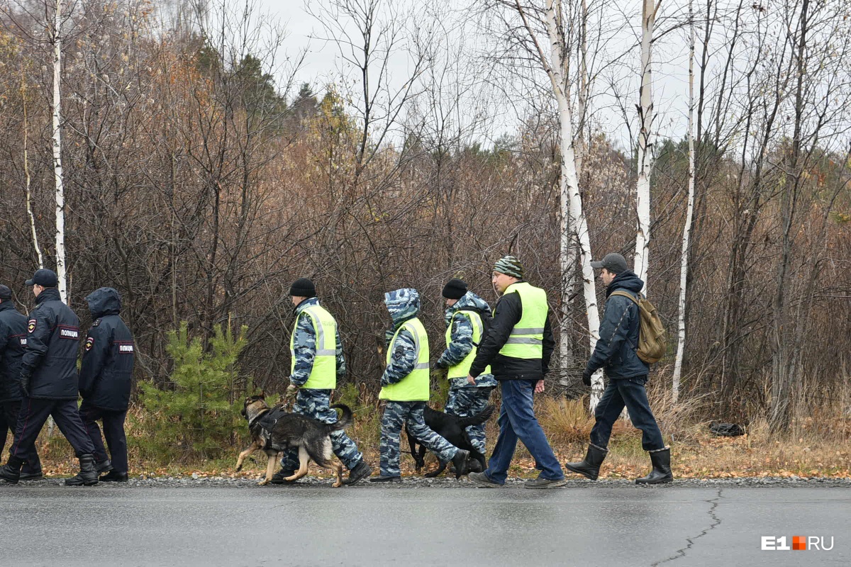 В поисках задействовали кинологов В поисках задействовали кинологов
