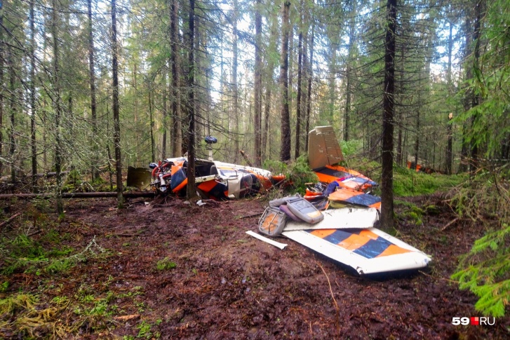 Обломки самолета обнаружили в лесу