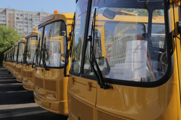 В последнее время школьные автобусы закупаются на заводе «Павловский автобус» В последнее время школьные автобусы закупаются на заводе «Павловский автобус»