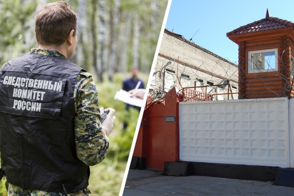 Житель Искитимского района отправится в колонию строгого режима за убийство 15-летней девушки — приговор в законную силу ещё не вступил Житель Искитимского района отправится в колонию строгого режима за убийство 15-летней девушки — приговор в законную силу ещё не вступил