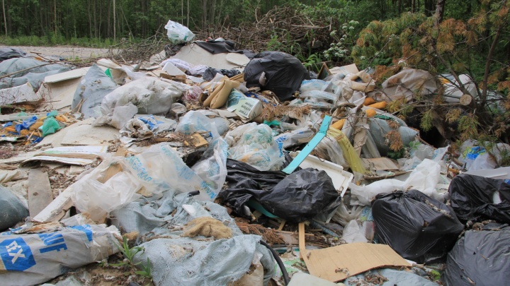 54 вагона — примерно такой объем: столько мусора вывезли с незаконных свалок в Архангельской области