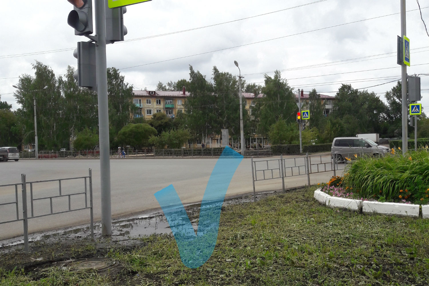 В Омске поставили новый пешеходный светофор — он ведёт из клумбы в лужу
