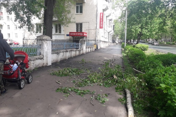 По тротуару часто ходят родители с детьми По тротуару часто ходят родители с детьми