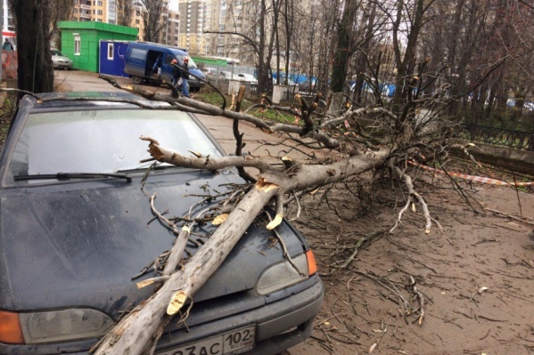 Владелец автомобиля не пострадал Владелец автомобиля не пострадал
