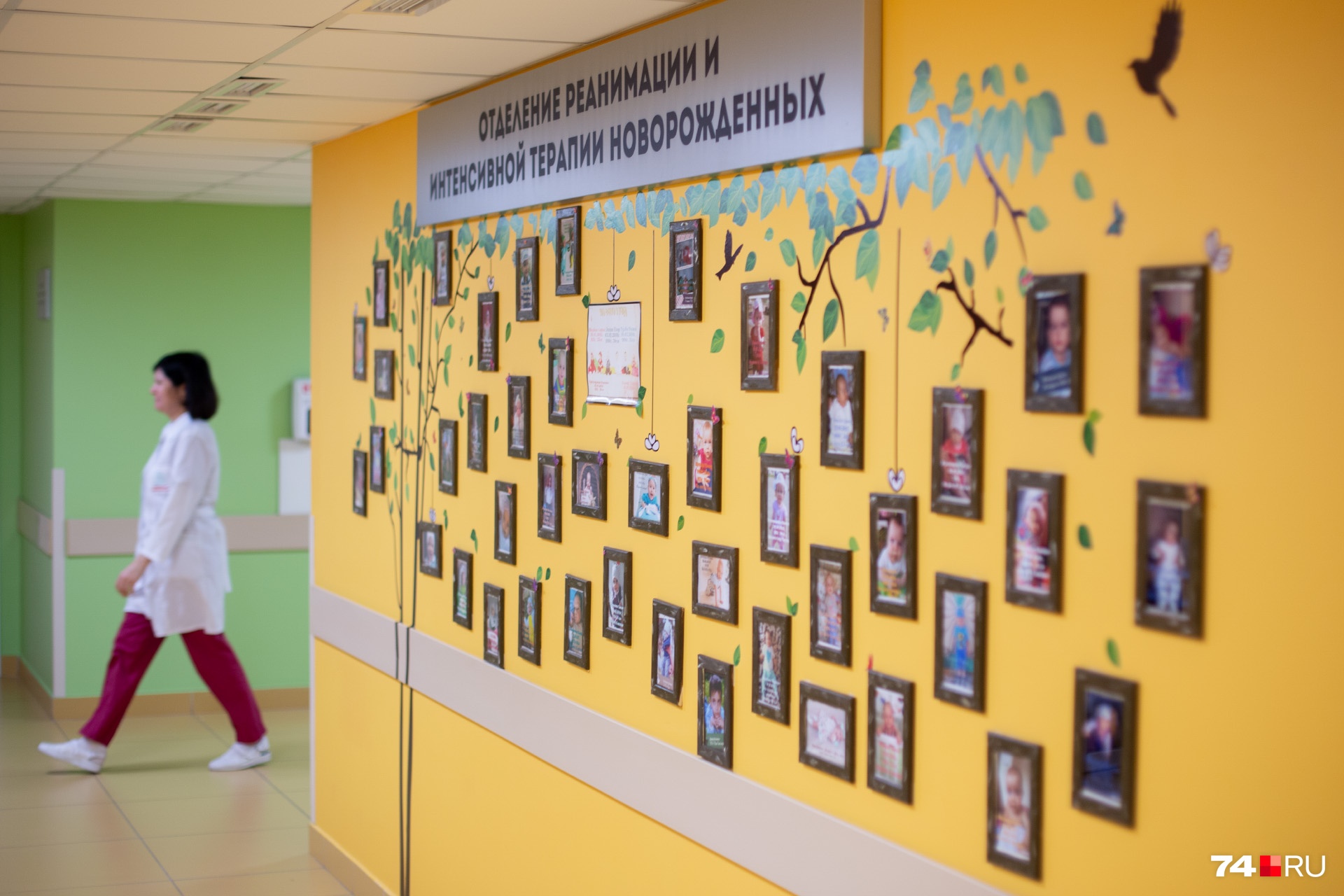 А это стена достижений неонатологов — фото подросших малышей приносят благодарные родители А это стена достижений неонатологов — фото подросших малышей приносят благодарные родители