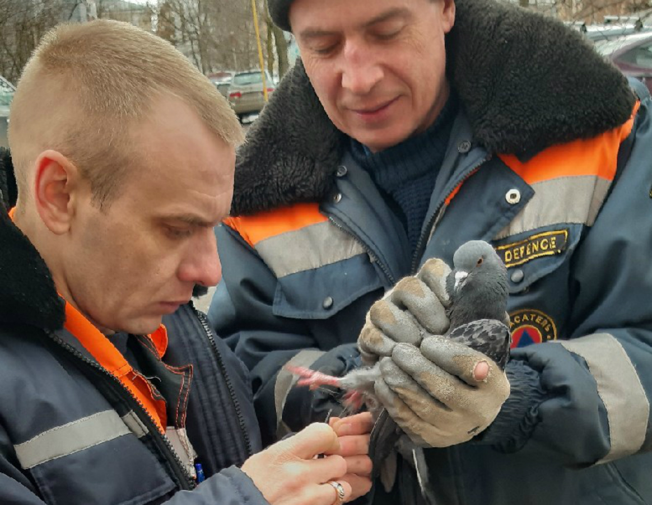 Спасательная операция длилась две минуты Спасательная операция длилась две минуты