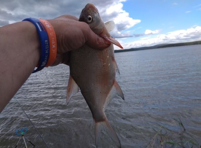 Новости о рыбалке на водоемах Новосибирска