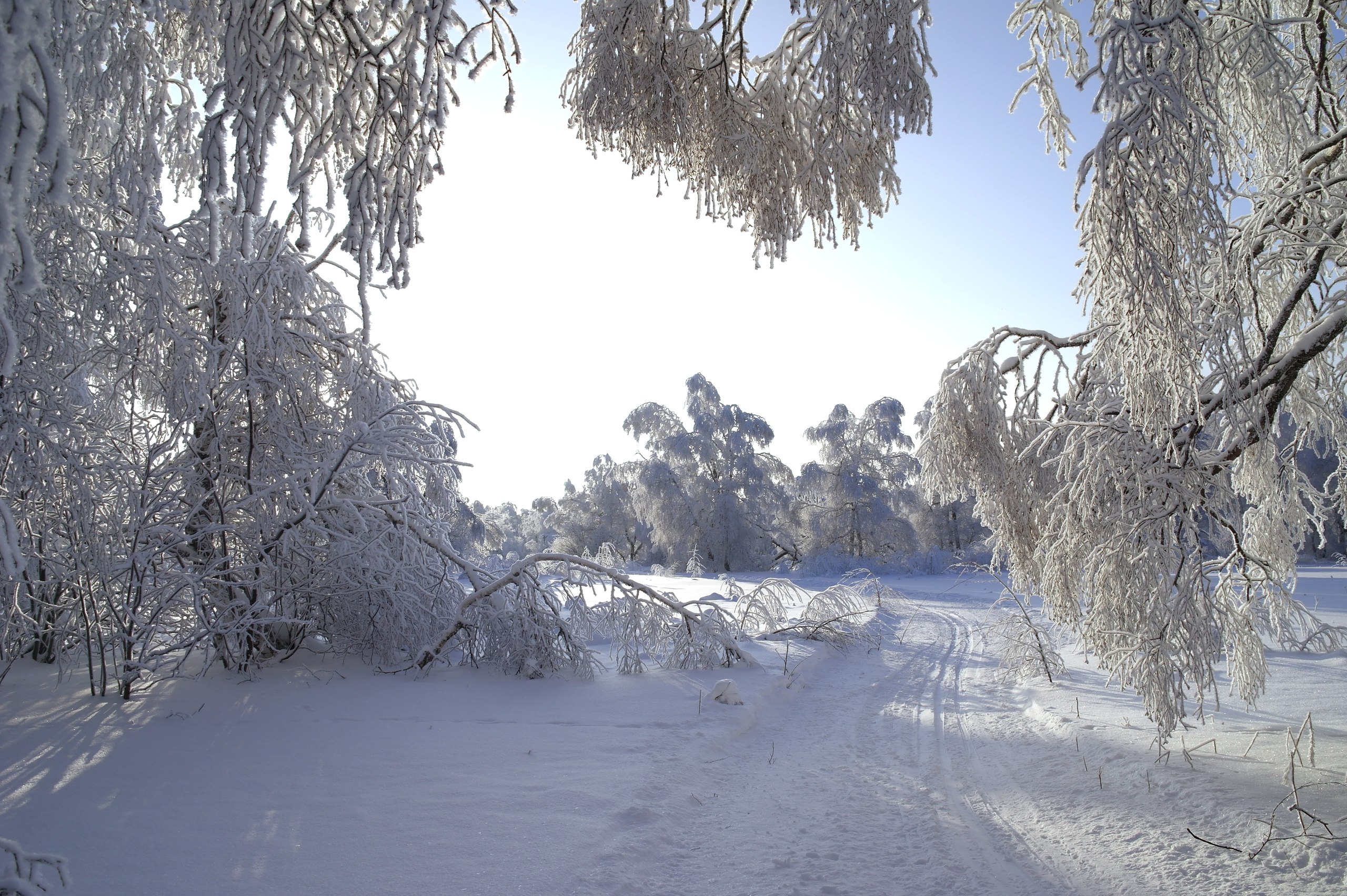 В Башкирии заблудились мужчины на снегоходе и лыжники из Магнитогорска