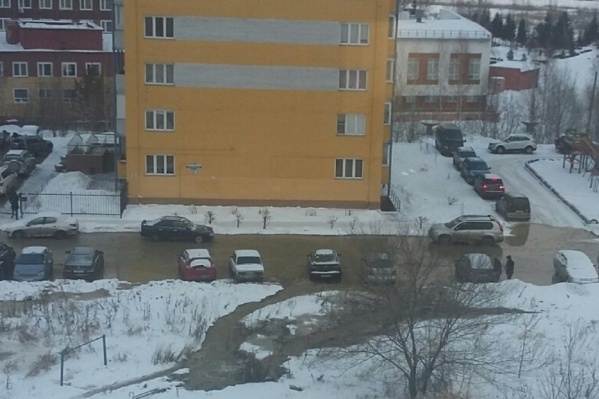 Автолюбители опасаются за сохранность своих машин Автолюбители опасаются за сохранность своих машин