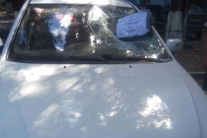 Месть за активность: ростовской общественнице разбили автомобиль за защиту Александровской рощи