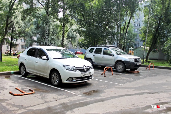 Под новые парковки в городе рубят деревья Под новые парковки в городе рубят деревья 