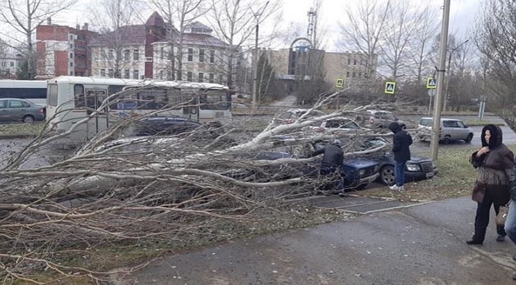 Огромное дерево упало на крыши припаркованных авто: двоим помогли спасатели