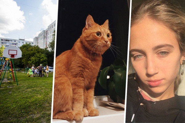 В ролике, выпущенном 31 августа, блогер kamikadzedead показал ссылки на страницы Варвары в соцсетях. После этого ей и её родственникам начали поступать угрозы В ролике, выпущенном 31 августа, блогер kamikadzedead показал ссылки на страницы Варвары в соцсетях. После этого ей и её родственникам начали поступать угрозы