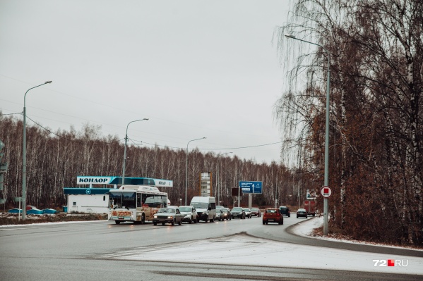 Деревья, растущие у перекрестка улиц Мельникайте и Дружбы, планируют вырубить. На их месте возведут очередную развязку. Масштабное дорожное строительство развернется в непосредственной близости к Гагаринскому парку, у которого сейчас нет охранной полосы Деревья, растущие у перекрестка улиц Мельникайте и Дружбы, планируют вырубить. На их месте возведут очередную развязку. Масштабное дорожное строительство развернется в непосредственной близости к Гагаринскому парку, у которого сейчас нет охранной полосы