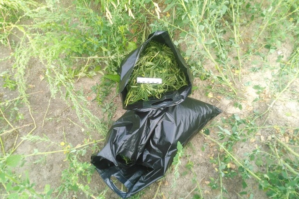 Полицейские изъяли мешки конопли Полицейские изъяли мешки конопли