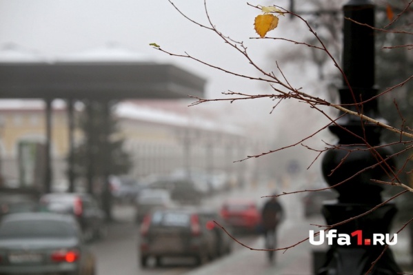 Местами в республике будет туман Местами в республике будет туман