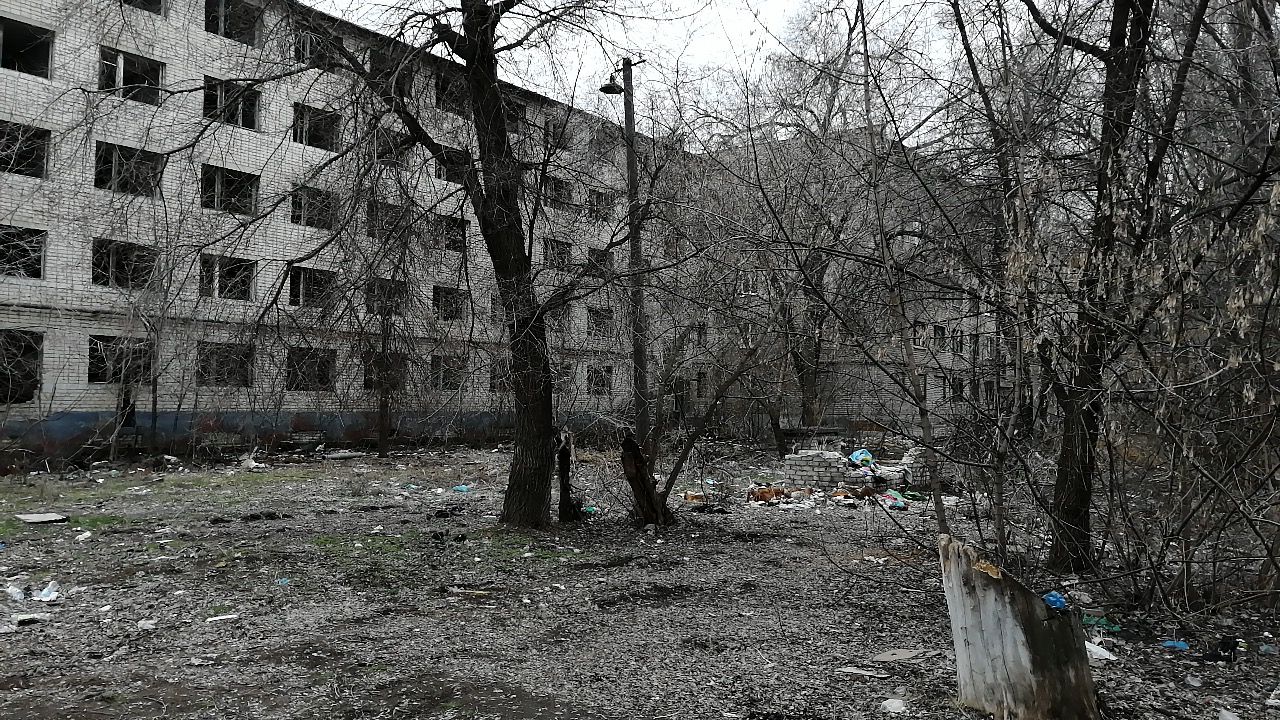 «Страшно отпускать гулять детей»: в Волгограде у заброшенной многоэтажки боятся крыс и гор мусора