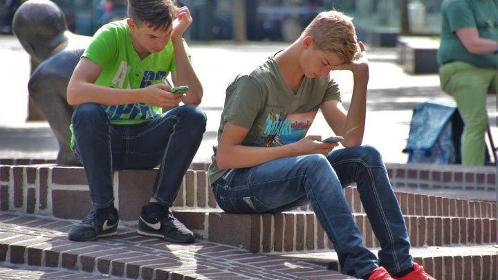Смартфон поможет ярославцам не забыть школьную программу за лето