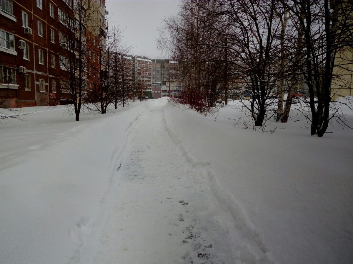 В нижнем новгороде выпало осадков. Снег в Новгороде. Нижний Новгород февраль. Сугробы в Нижнем Новгороде. Холодная зима 2010 года в Нижегородской.