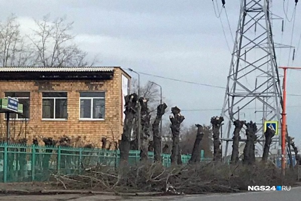 Все деревья под ЛЭП срублены Все деревья под ЛЭП срублены