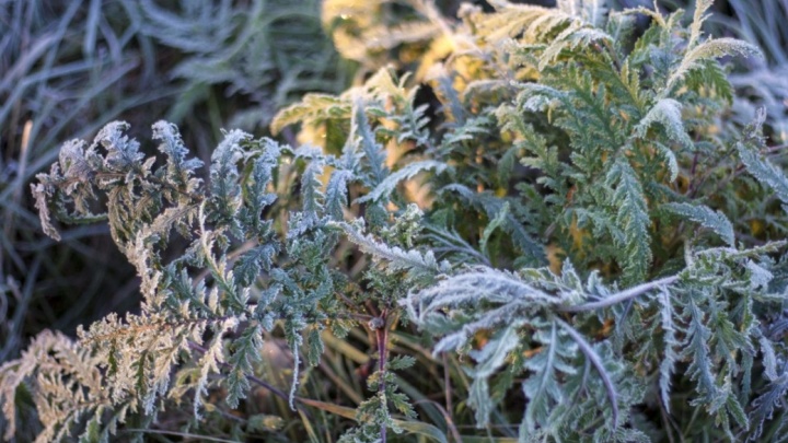 Зима близко: температура воздуха в Нижегородской области может опуститься до минусовых значений