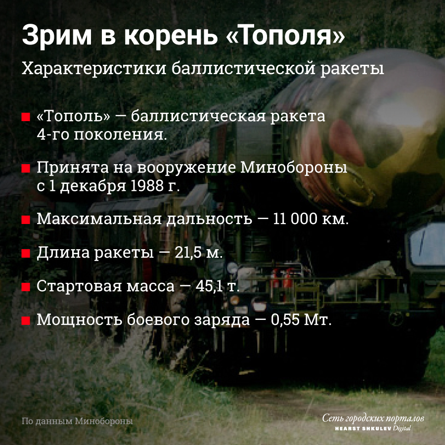 Инфографика: Полина Авдошина Инфографика: Полина Авдошина