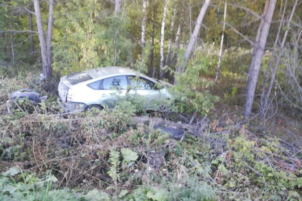 Toyota Prius врезалась в несколько деревьев, однако водитель не пострадал Toyota Prius врезалась в несколько деревьев, однако водитель не пострадал