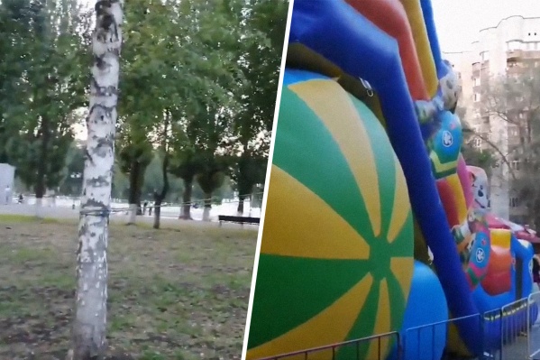 Самарец нашел в городе батут, который привязан веревкой к дереву Самарец нашел в городе батут, который привязан веревкой к дереву