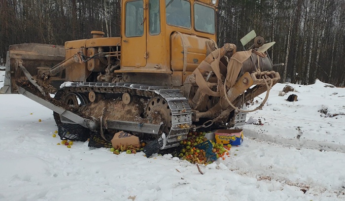 В Ярославле трактором раздавили 340 килограммов фруктов и овощей