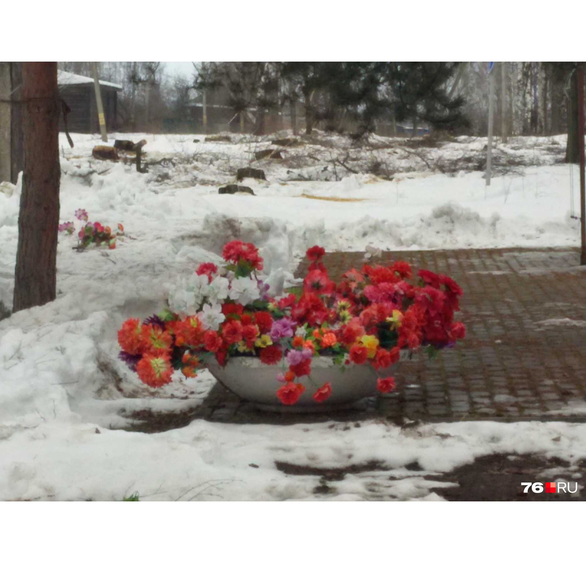 Так сейчас в Брейтове выглядит парк Победы Так сейчас в Брейтове выглядит парк Победы
