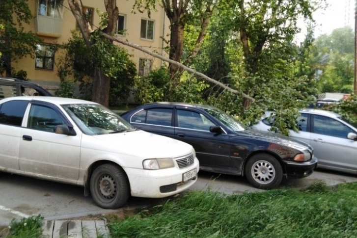 На Старой Сортировке ветка упала на автомобиль На Старой Сортировке ветка упала на автомобиль