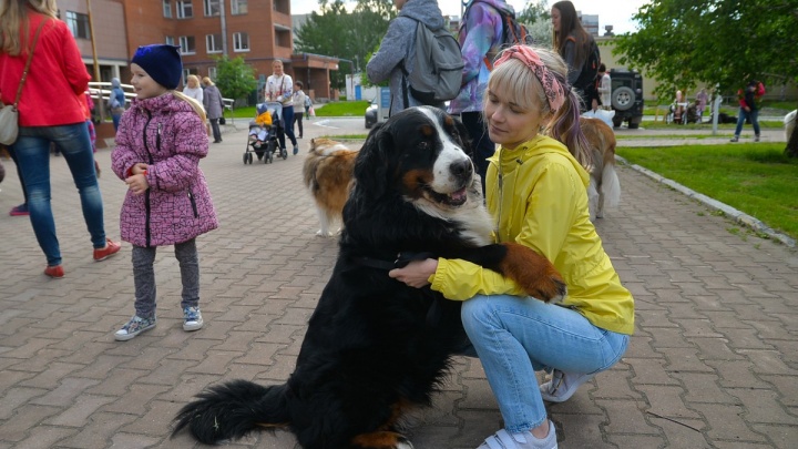 "Так выглядит детское счастье": 40 собак устроили шоу в Екатеринбурге у онкоцентра