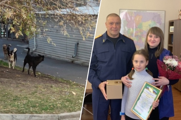 Наталью наградили за самоотверженность и мужество Наталью наградили за самоотверженность и мужество 