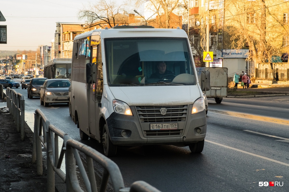 В Перми появится автобусный маршрут, который соединит Березовую рощу и улицу Попова