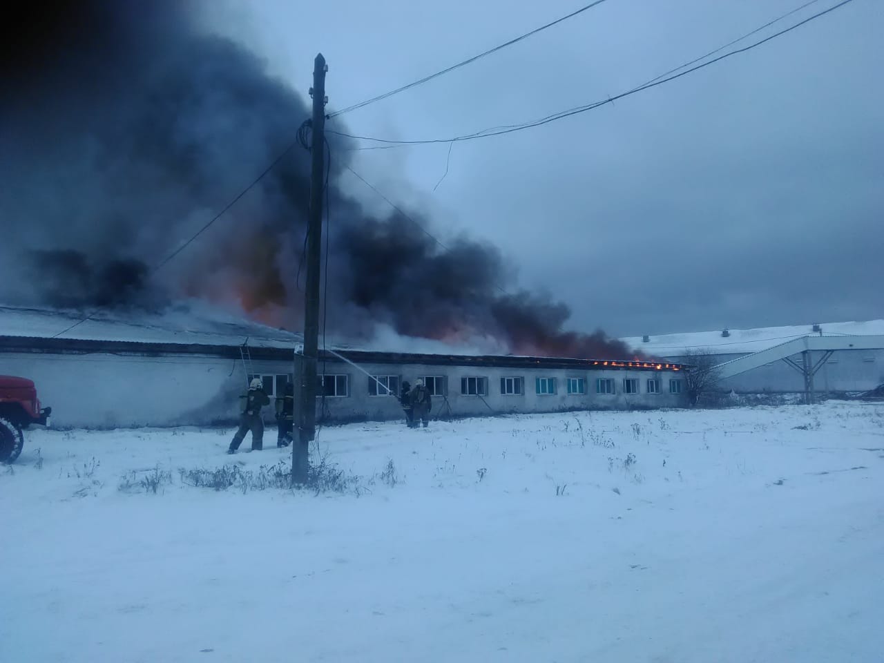 Нижнетагильская птицефабрика. Пожар в Нижнем Тагиле в Покровке. Птицефабрика Нижний Тагил село Покровское. Нижнетагильская птицефабрика Нижний Тагил. Пожар на птицефабрике.