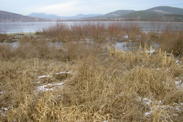 В Златоусте чистят пруд и запускают водный трамвай В Златоусте чистят пруд и запускают водный трамвай