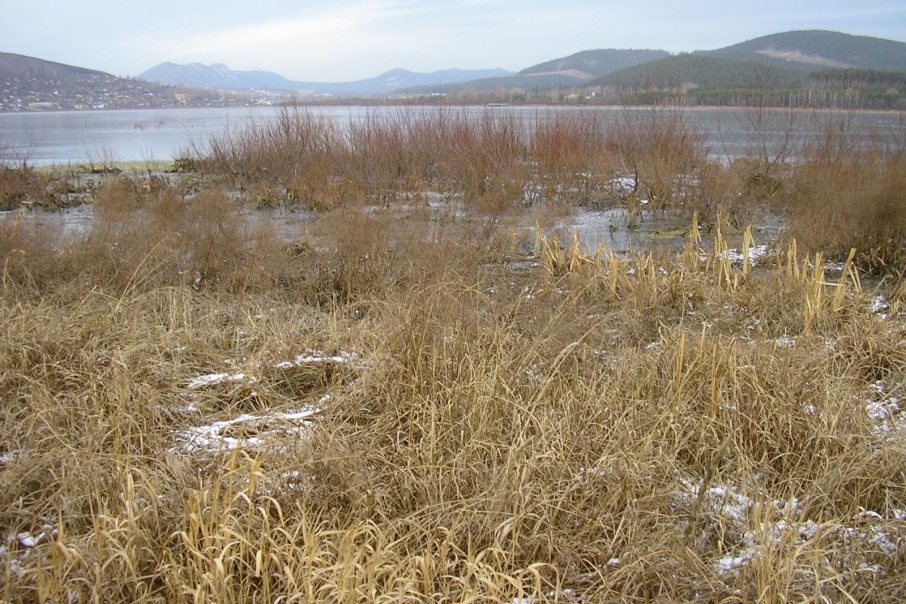 В Златоусте чистят пруд и запускают водный трамвай В Златоусте чистят пруд и запускают водный трамвай
