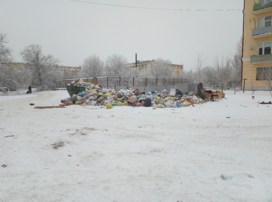 Волгоград с Нового года зарос невывезенным мусором - фото 5
