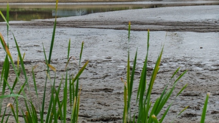 В Октябрьском районе исчезло Щучье озеро. Жители поселка вынуждены пить воду, которую возят издалека