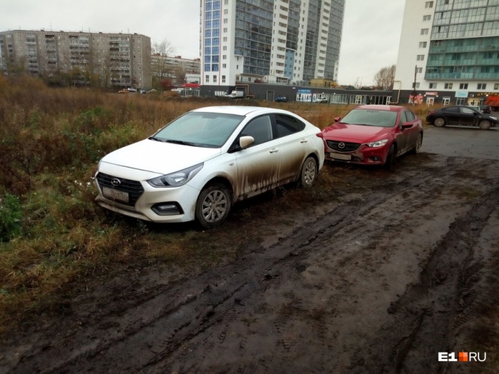 Такая стоянка скоро станет платной Такая стоянка скоро станет платной